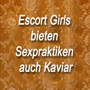 Escort berlin kaviar Kaviar